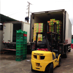 Rosex Gallery — refrigerated truck